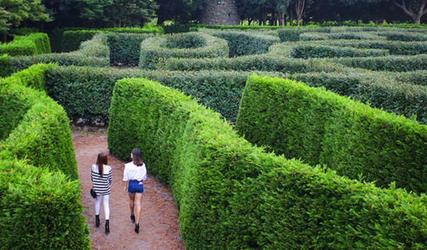 Maze Land (4)
